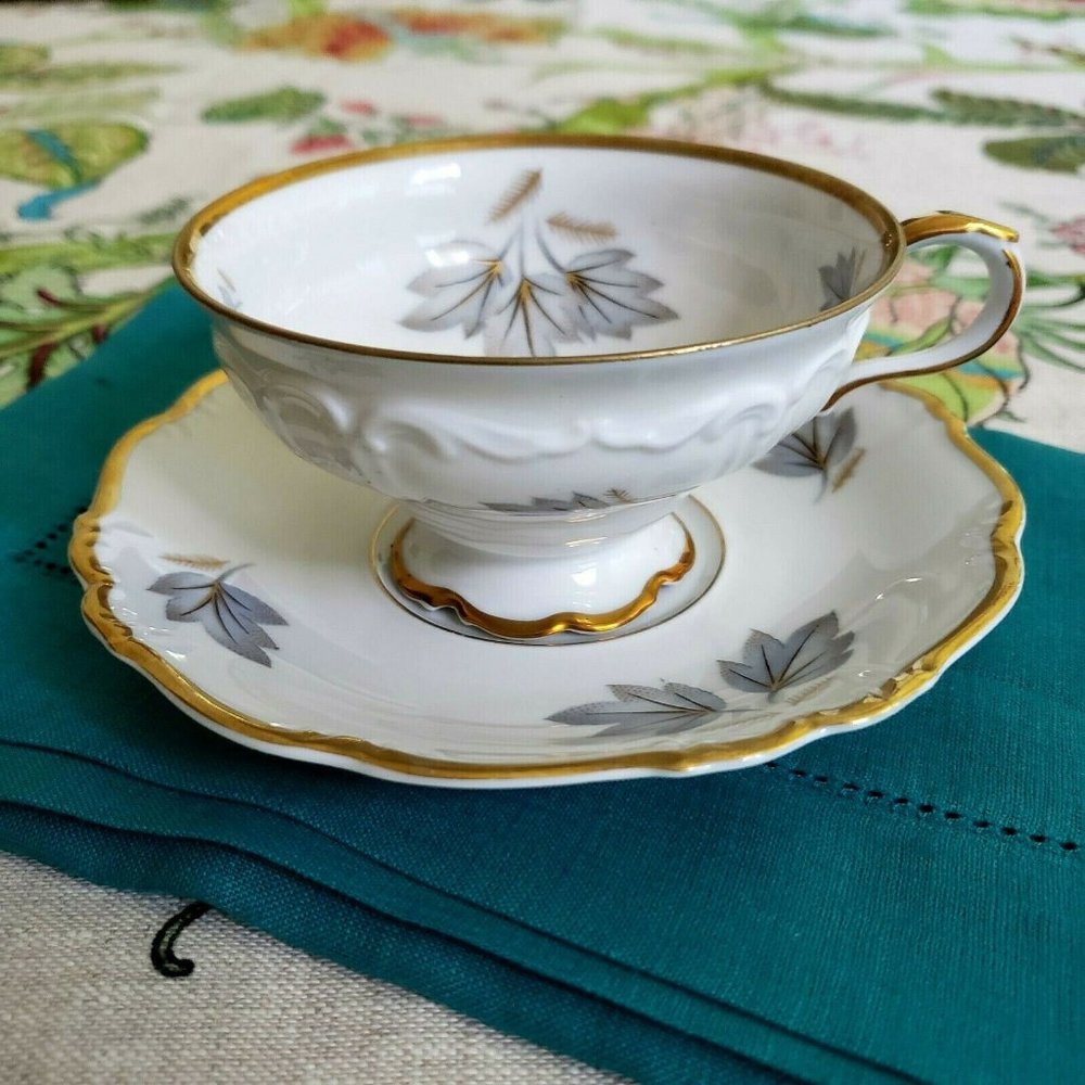 Edelstein Coronado China Tea Cup and Saucer Set